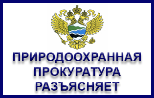Природоохранный прокурор разъясняет. Природоохранный прокурор разъясняет.